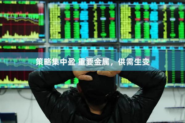 策略集中盈 重要金属，供需生变