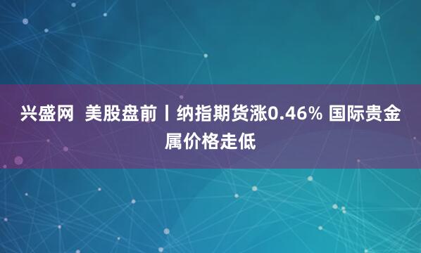 兴盛网  美股盘前丨纳指期货涨0.46% 国际贵金属价格走低